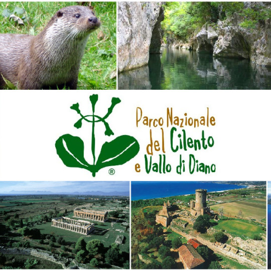 Parco-Nazionale-del-Cilento